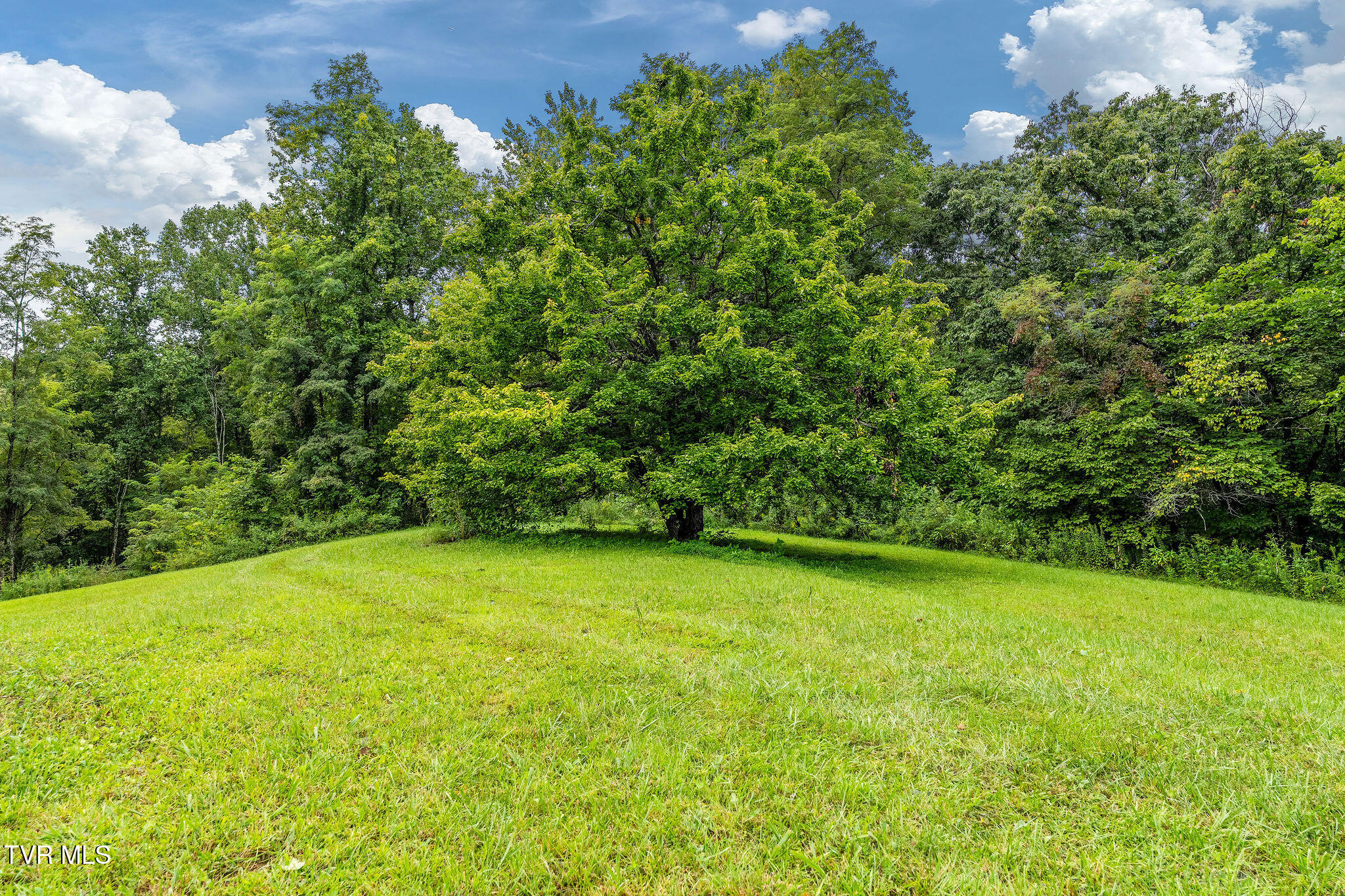 2335 Wattenbarger Gap Road Greeneville, TN 37745 - Photo 88 of 103 DSC08032