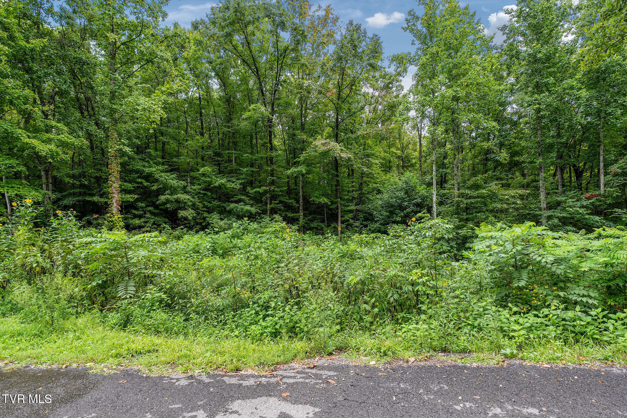 2335 Wattenbarger Gap Road Greeneville, TN 37745 - Photo 90 of 103 DSC08042