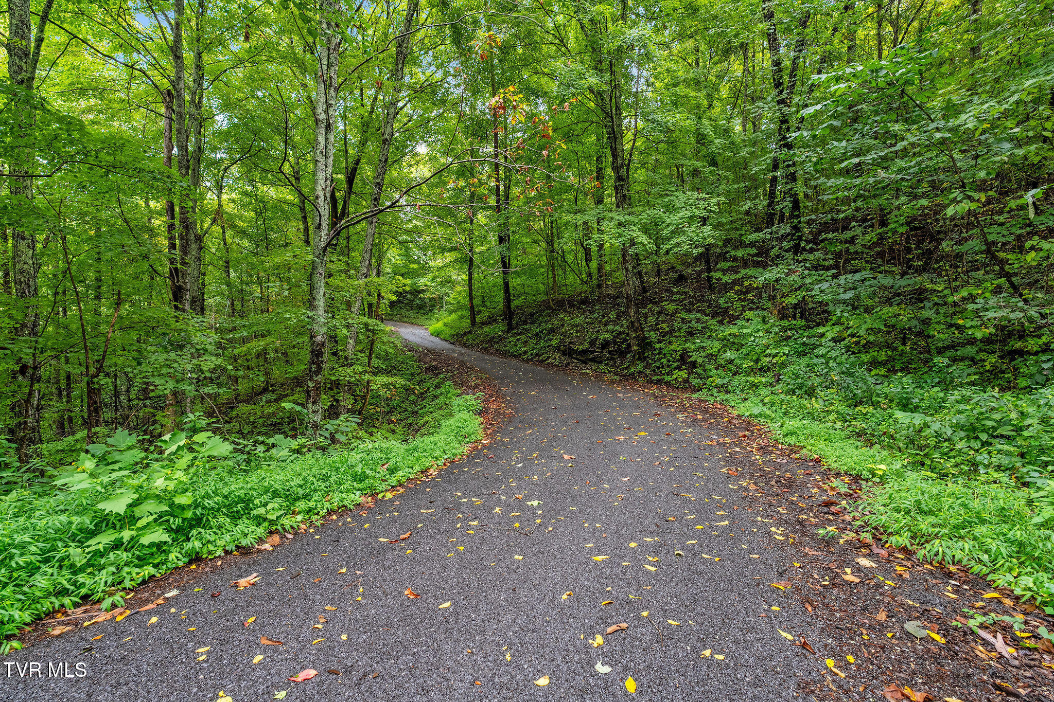 2335 Wattenbarger Gap Road Greeneville, TN 37745 - Photo 92 of 103 DSC08048