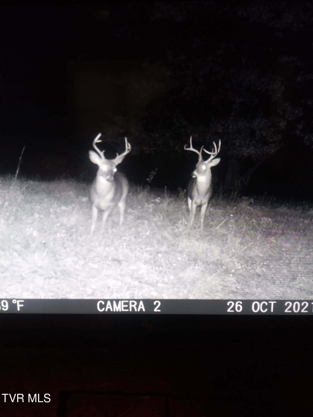 2335 Wattenbarger Gap Road Greeneville, TN 37745 - Photo 96 of 103 2BUcks