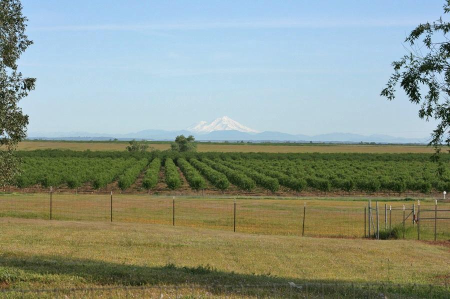 21215 Gyle Road Corning, CA 96021 - Photo 3 of 75 IMG_5391