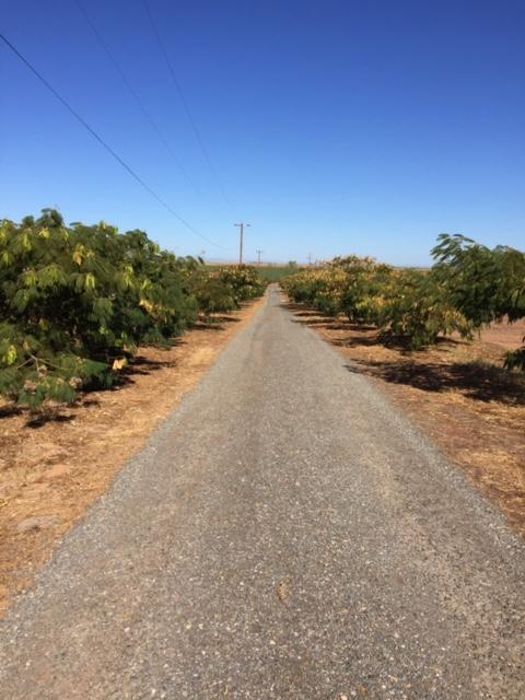 21215 Gyle Road Corning, CA 96021 - Photo 50 of 75 a view of an ocean and beach