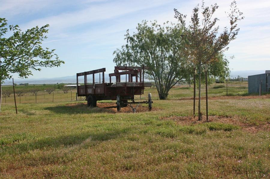 21215 Gyle Road Corning, CA 96021 - Photo 54 of 75 IMG_5401