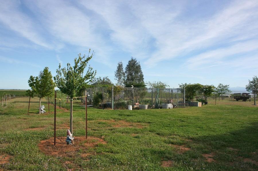 21215 Gyle Road Corning, CA 96021 - Photo 59 of 75 a backyard of apartments with large trees