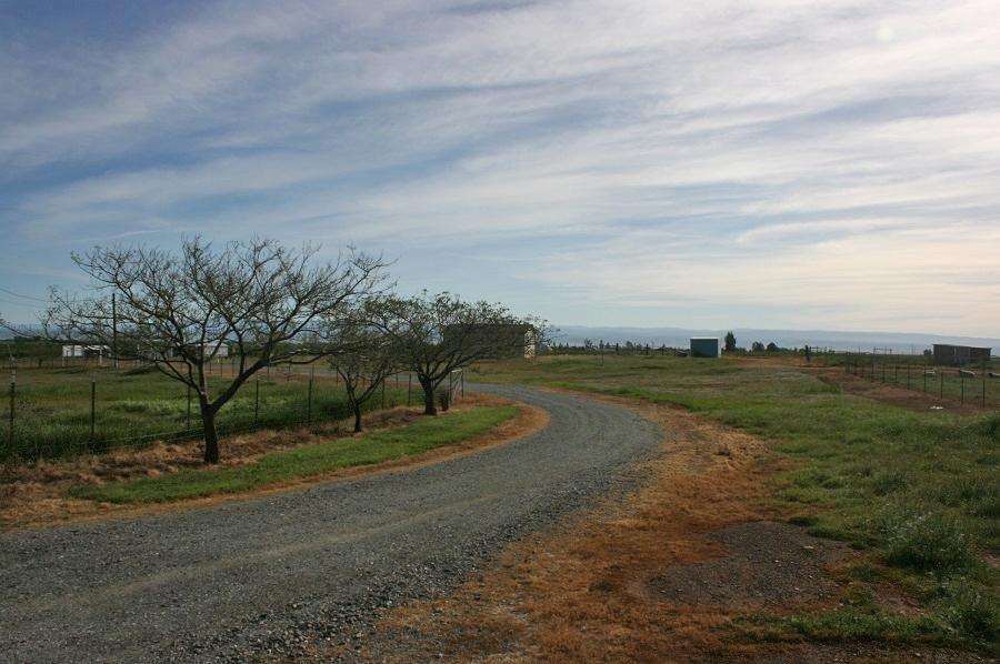 21215 Gyle Road Corning, CA 96021 - Photo 60 of 75 a view of a park with large trees