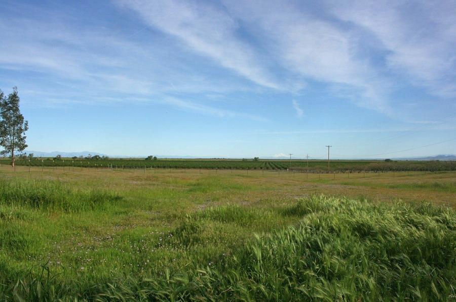 21215 Gyle Road Corning, CA 96021 - Photo 62 of 75 a view of an ocean from a city