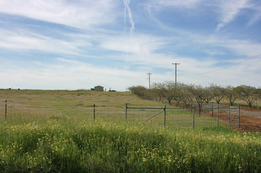 21215 Gyle Road Corning, CA 96021 - Photo 75 of 75 a view of a lake with a big yard