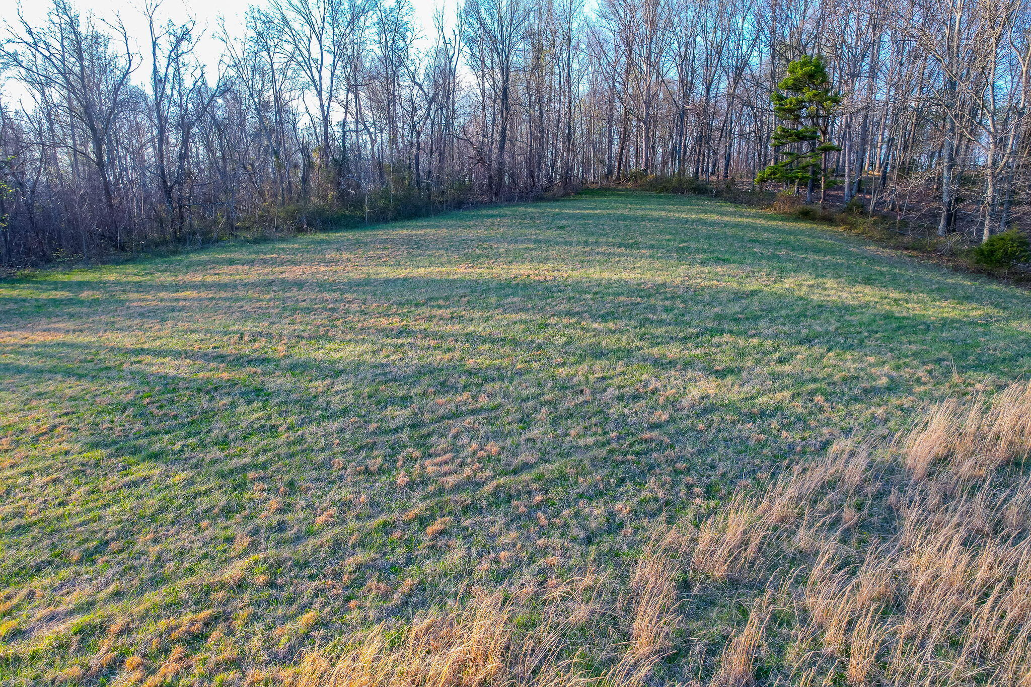167 Hice Road, Unit 6 AND 5 Chuckey, TN 37641 - Photo 11 of 14 12-web-or-mls-Hice Ln 12