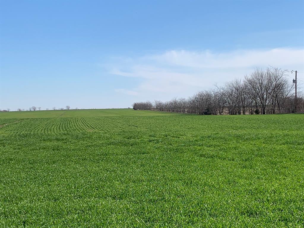 Tbd Boren Road Collinsville, TX 76233 - Photo 2 of 13