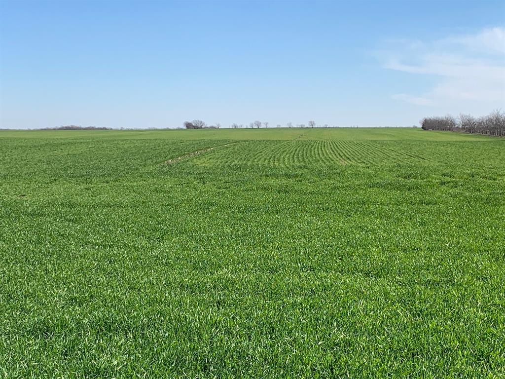 Tbd Boren Road Collinsville, TX 76233 - Photo 4 of 13