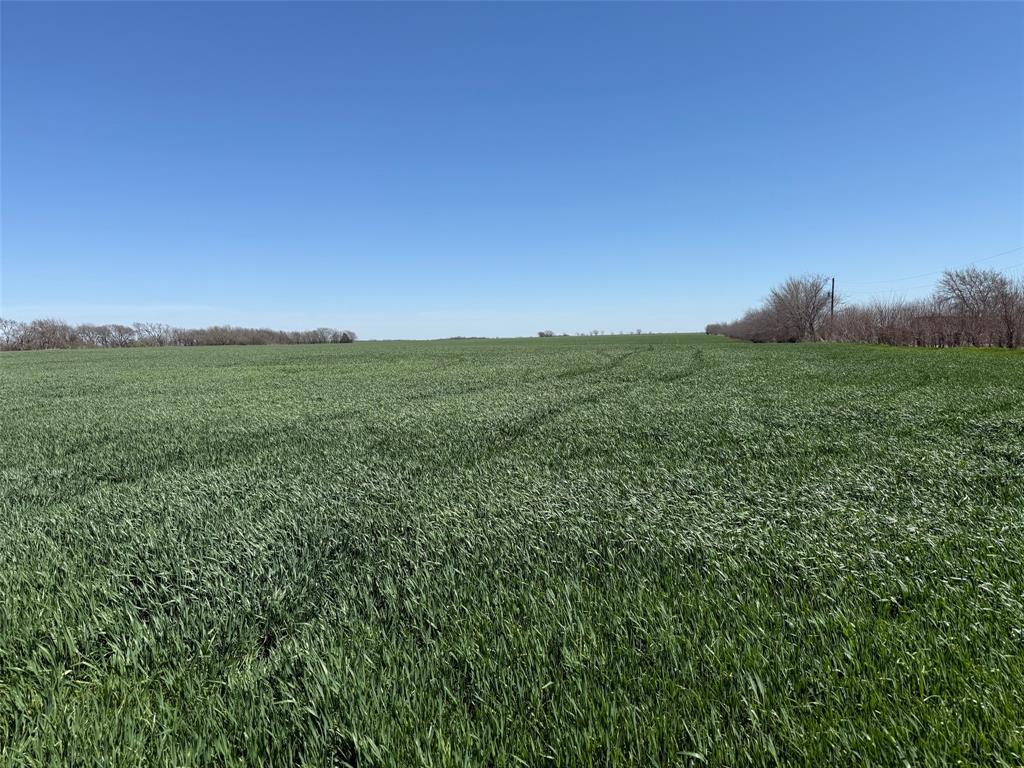 Tbd Boren Road Collinsville, TX 76233 - Photo 5 of 13