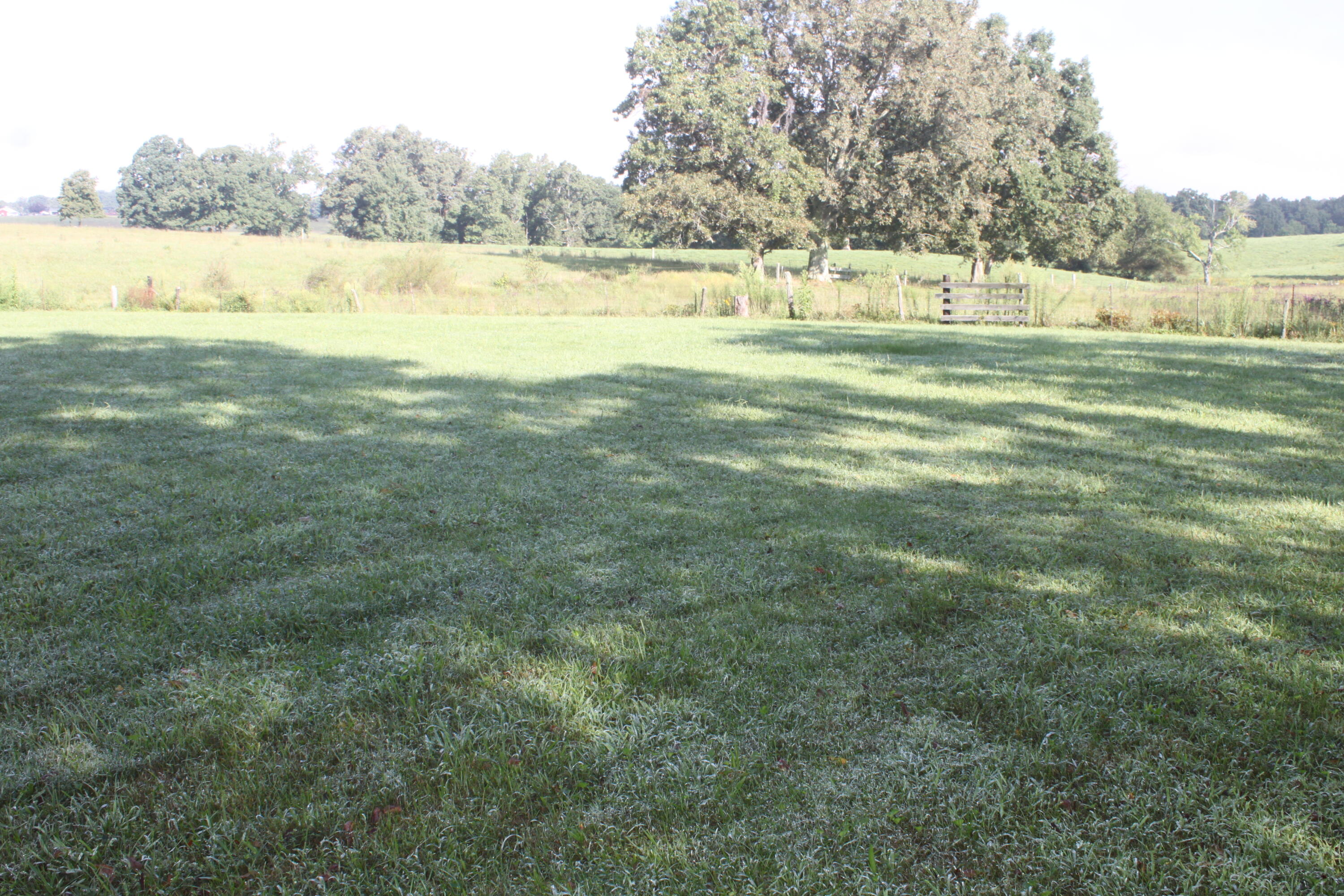 4164 Coopertown Road Oneida, TN 37841 - Photo 5 of 19 IMG_9634