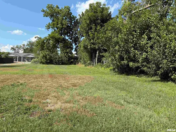 a view of a field with a trees
