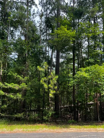 $19,900 | L5-b17 Creekside Cove, McCormick, SC 29835