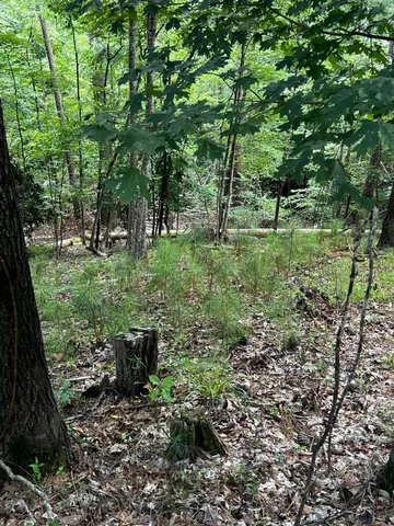 $19,900 | L5-b17 Creekside Cove, McCormick, SC 29835