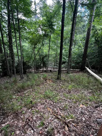 $19,900 | L5-b17 Creekside Cove, McCormick, SC 29835