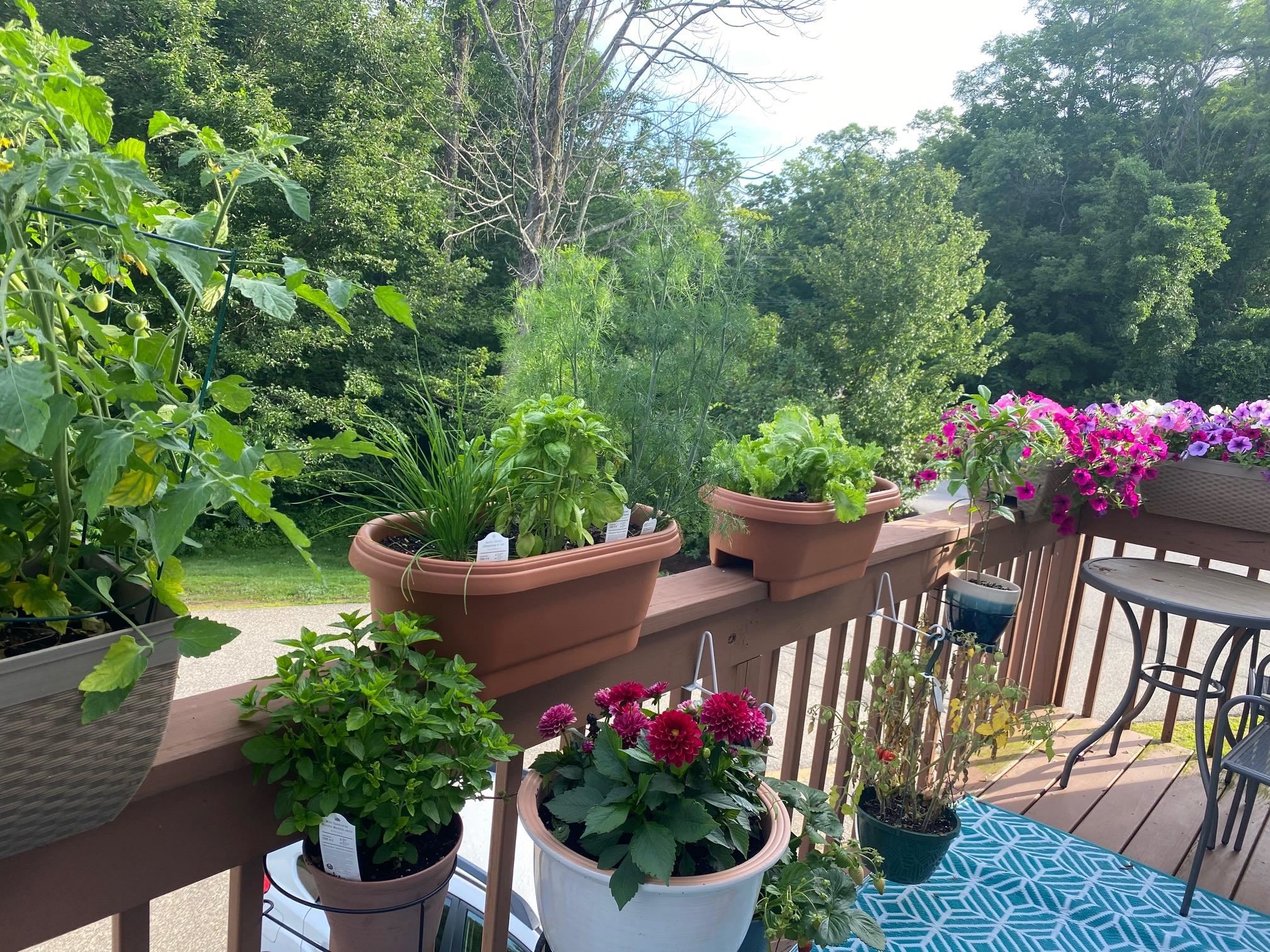 501 Bean Hill Road, Unit 34 Northfield, NH 03276 - Photo 17 of 21