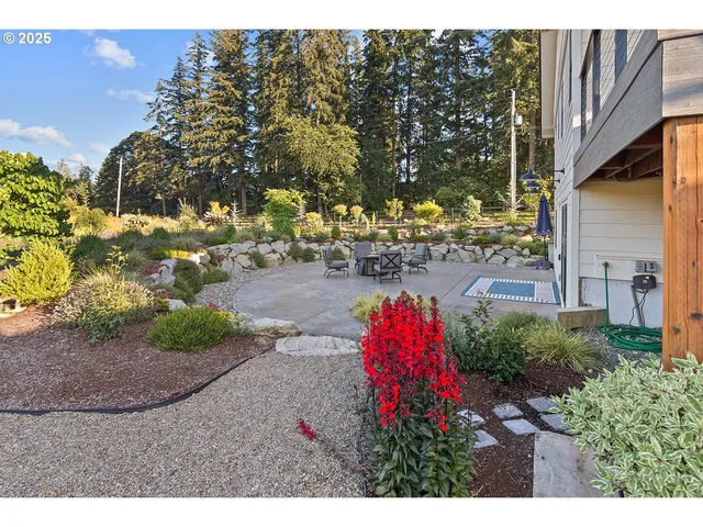 a view of a backyard