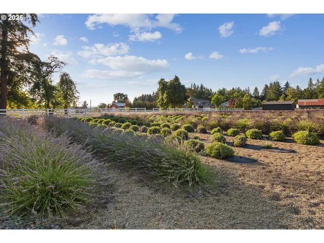 a view of swimming pool and a yard