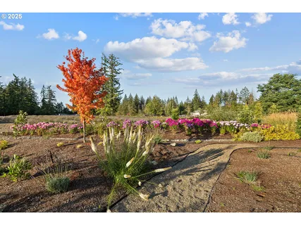 a view of a flower in a garden
