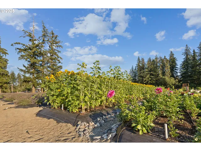 a view of a pathway with a yard