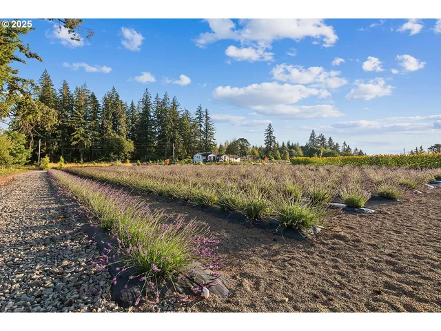 a view of a swimming pool with a yard