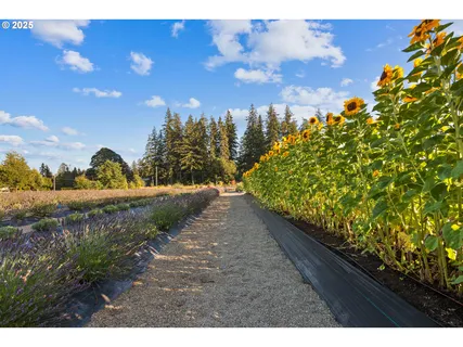 $2,495,000 | 19012 Northeast 139th Street, Brush Prairie, WA 98606