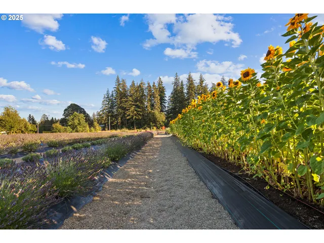 $2,495,000 | 19012 Northeast 139th Street, Brush Prairie, WA 98606