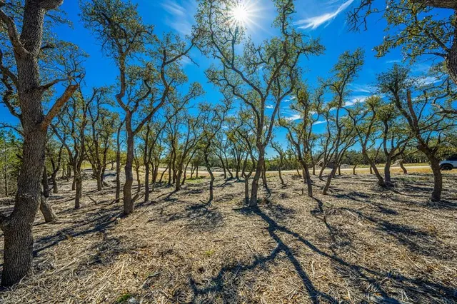 a view of backyard with green space