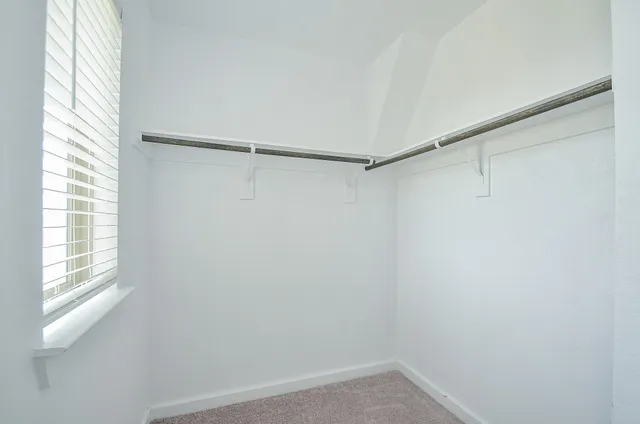 a view of a back yard of the house