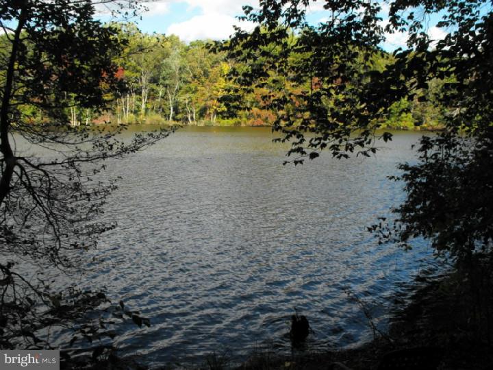 314 Porcher Street Dover, DE 19901 - Photo 24 of 25 View in Back