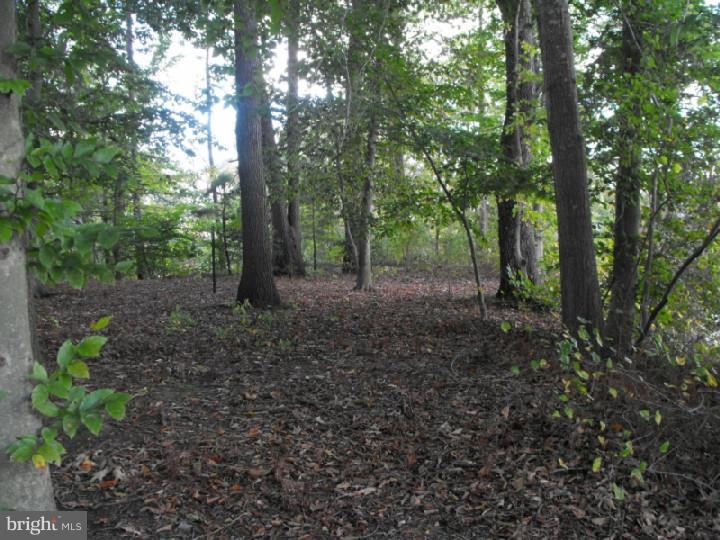 314 Porcher Street Dover, DE 19901 - Photo 25 of 25 View in Back