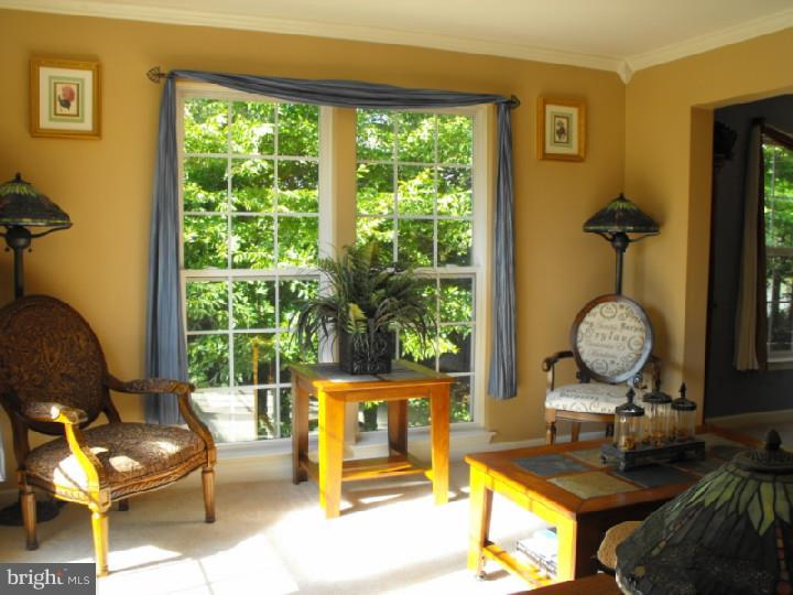 314 Porcher Street Dover, DE 19901 - Photo 5 of 25 Living Room