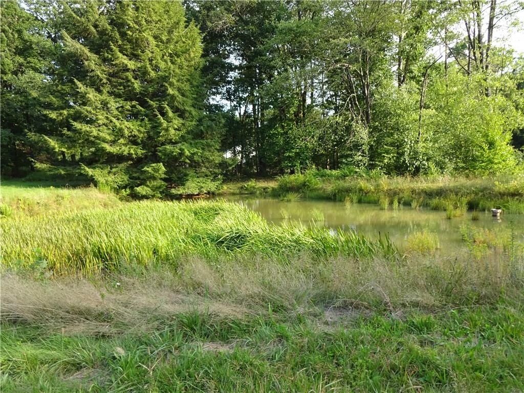 215 Solomon Temple Road Latrobe, PA 15650 - Photo 10 of 11 Pond