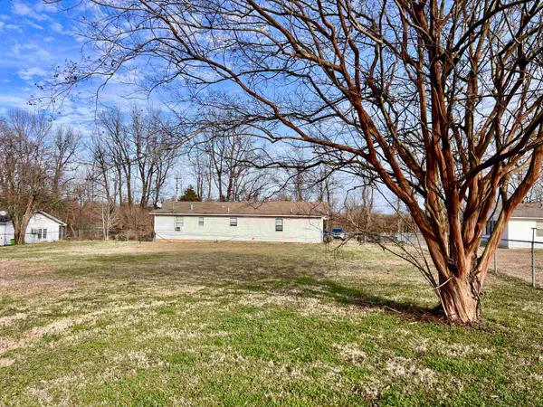 a view of yard with tree