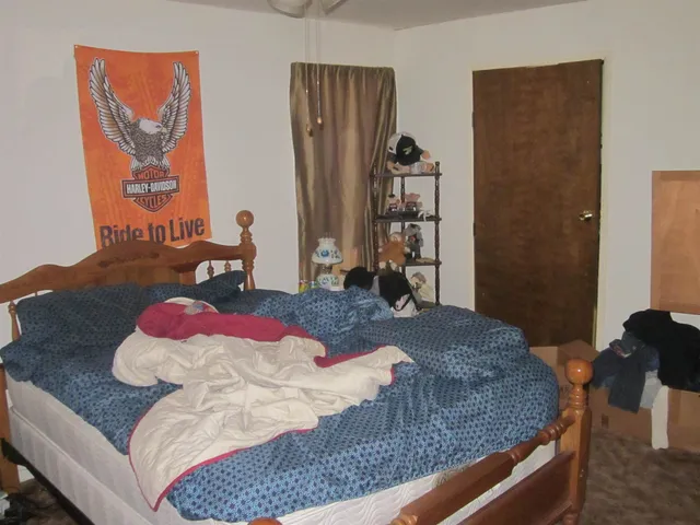 $55,000 | 18399 Quiver Beach Road, Havana, IL 62644