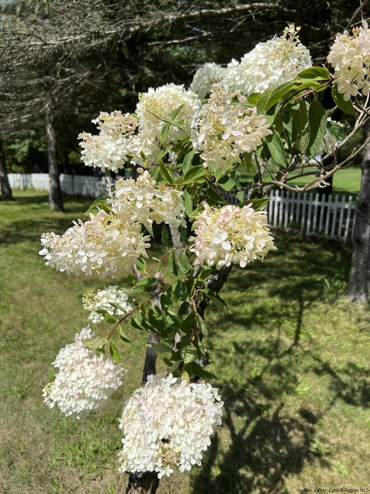 3615 Atwood Road Stone Ridge, NY 12484 - Photo 6 of 22 a view of a garden with flowers