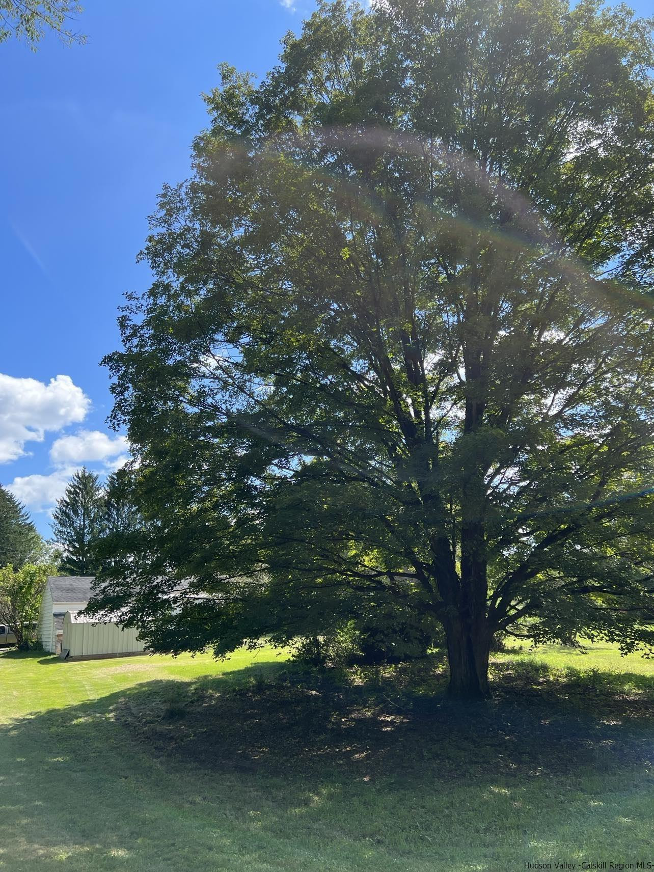 3615 Atwood Road Stone Ridge, NY 12484 - Photo 8 of 22 a view of swimming pool with yard