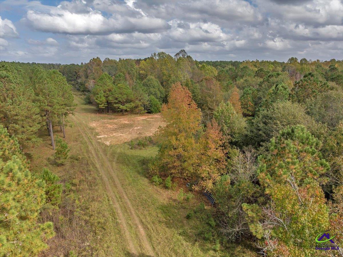 241 Henderson Springs Road Elko, GA 31025 - Photo 30 of 37 Gallery Image 30