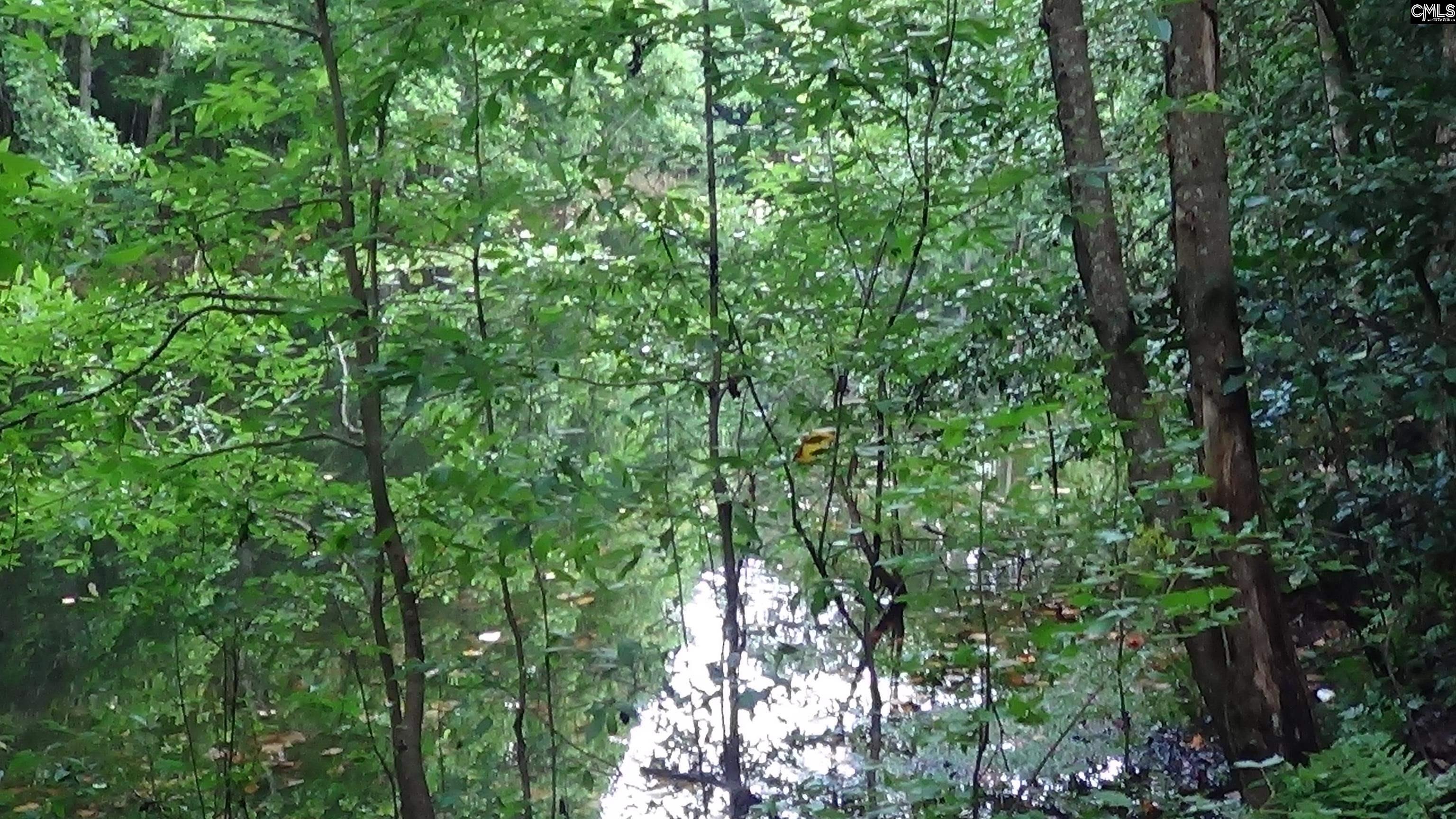 2815 Highway 1 Elgin, SC 29045 - Photo 13 of 17