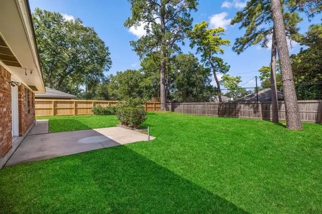 a view of yard with grass and a palm tree