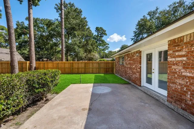a view of backyard with plants and large trees