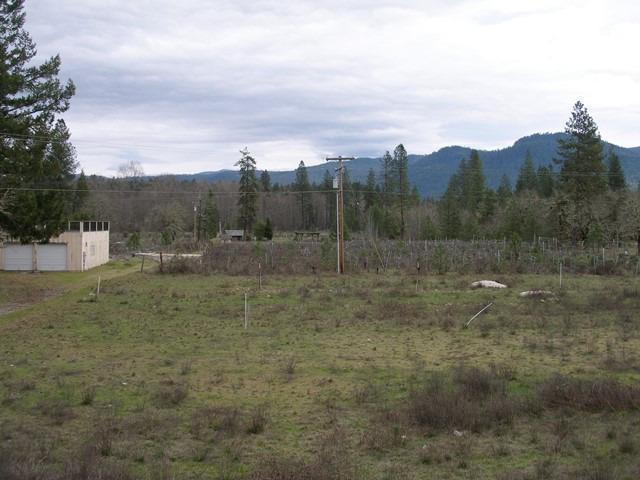 6307 Rockydale Road Cave Junction, OR 97523 - Photo 1 of 25 7 acres of old vineyard