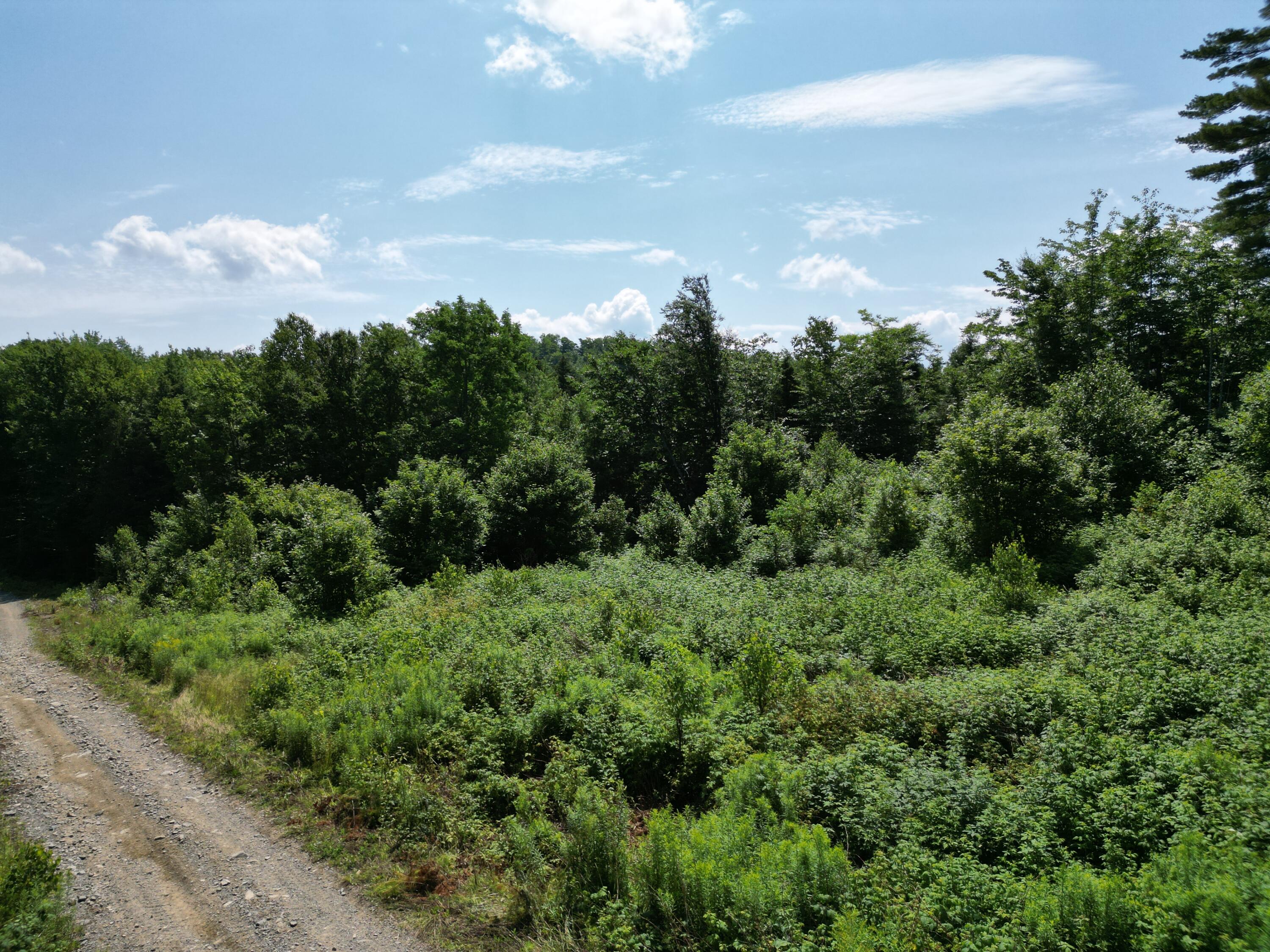 Lot 6 Moores Road Springfield, ME 04487 - Photo 6 of 12 DJI_0975