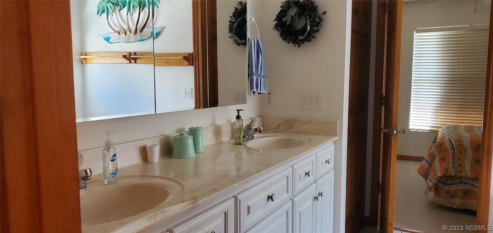 239 Kirkland Road New Smyrna Beach, FL 32169 - Photo 5 of 36 a bathroom with a sink and a mirror