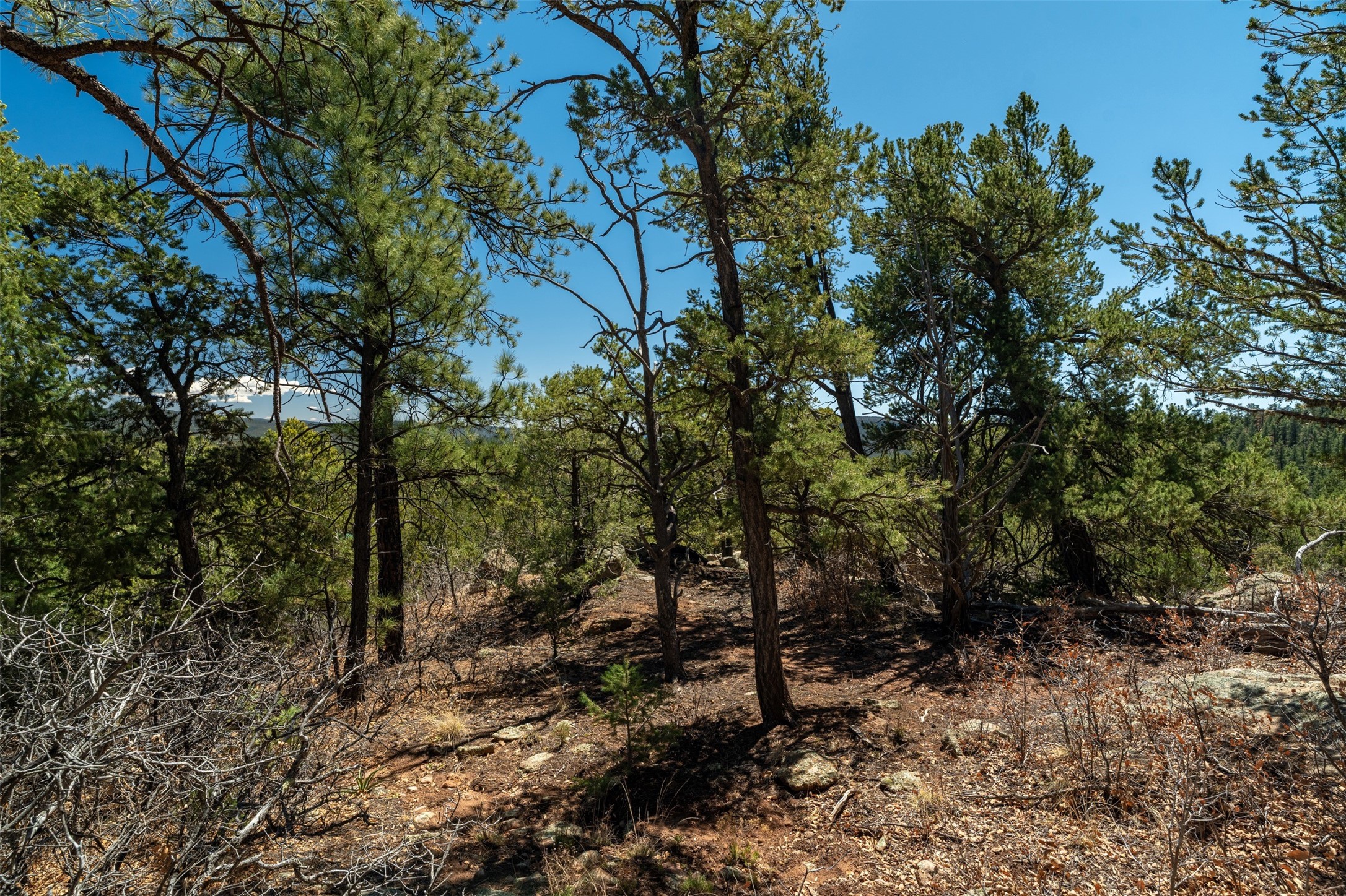 30 Monte La Cueva Road Glorieta, NM 87535 - Photo 63 of 91