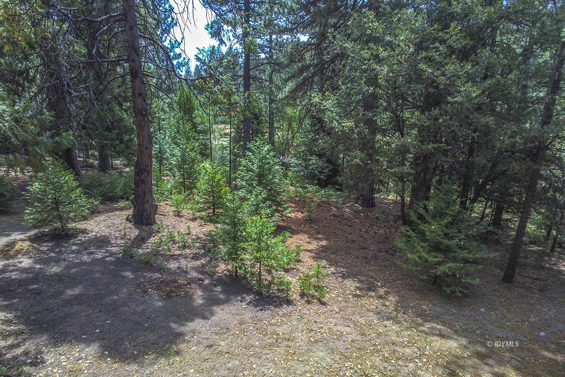Foster Lake Road Idyllwild, CA 92549 - Photo 1 of 14 Untitled