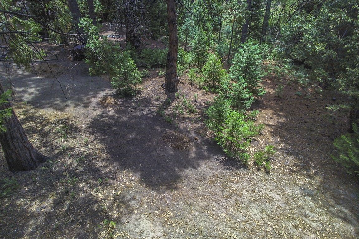 Foster Lake Road Idyllwild, CA 92549 - Photo 2 of 14 Untitled