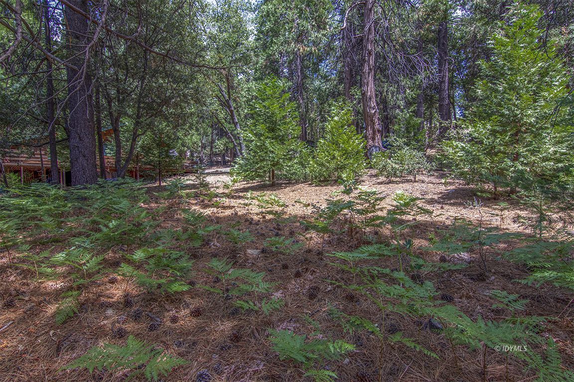 Foster Lake Road Idyllwild, CA 92549 - Photo 11 of 14 Untitled