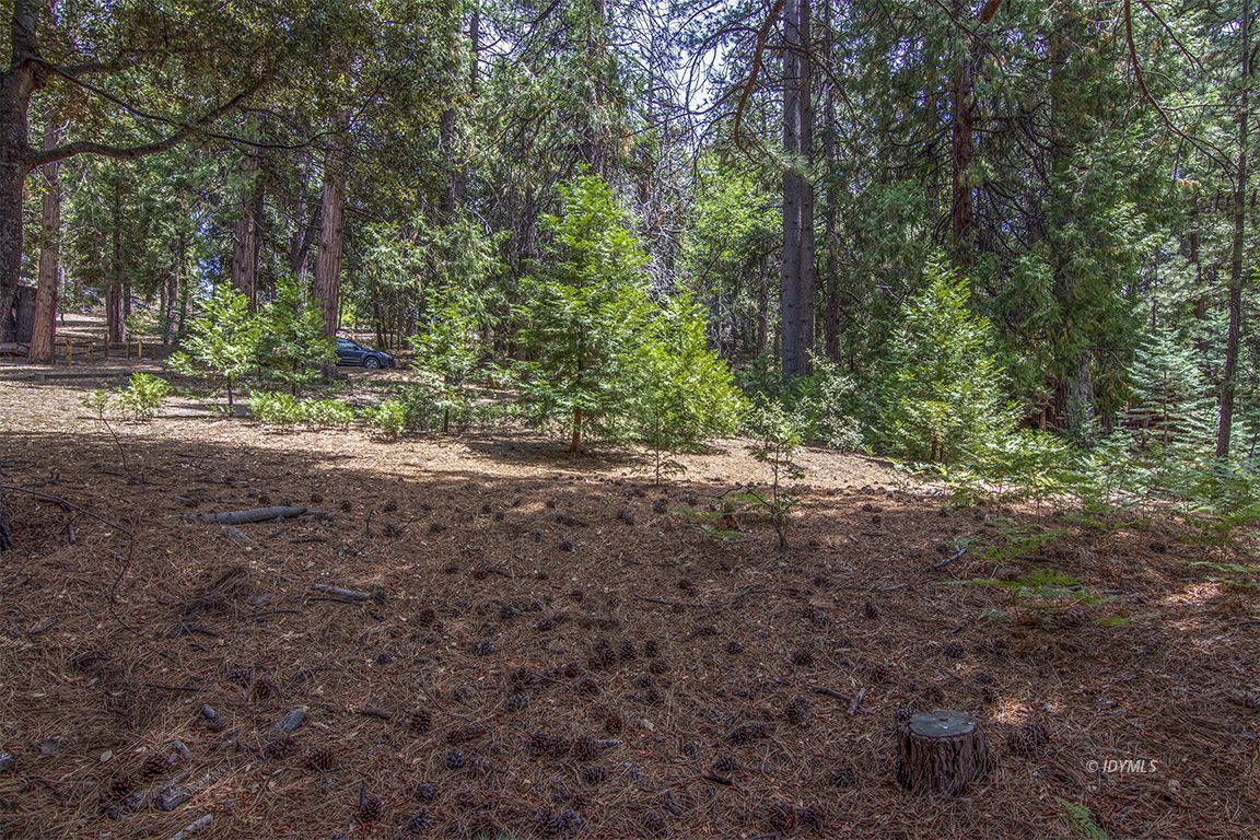 Foster Lake Road Idyllwild, CA 92549 - Photo 13 of 14 Untitled